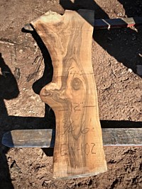English Walnut